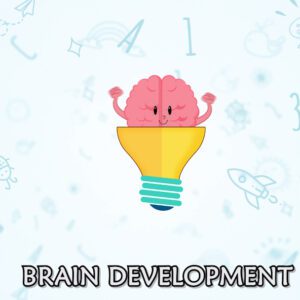 Brain Development